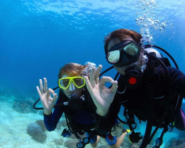 Picture 7 for Activity Scuba Diving Tour from Marmaris and Icmeler
