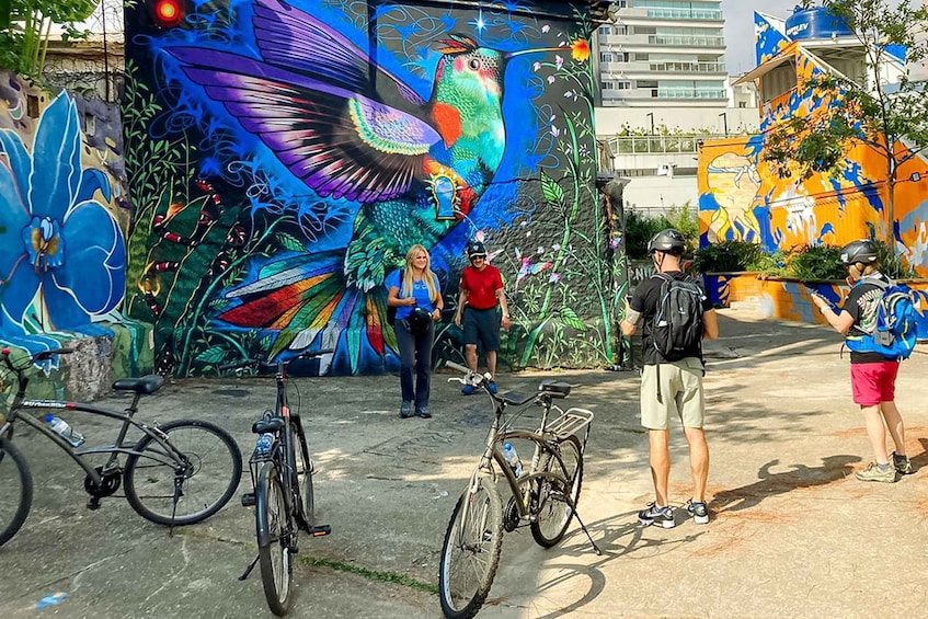 Picture 22 for Activity São Paulo: Street Art Bike Tour