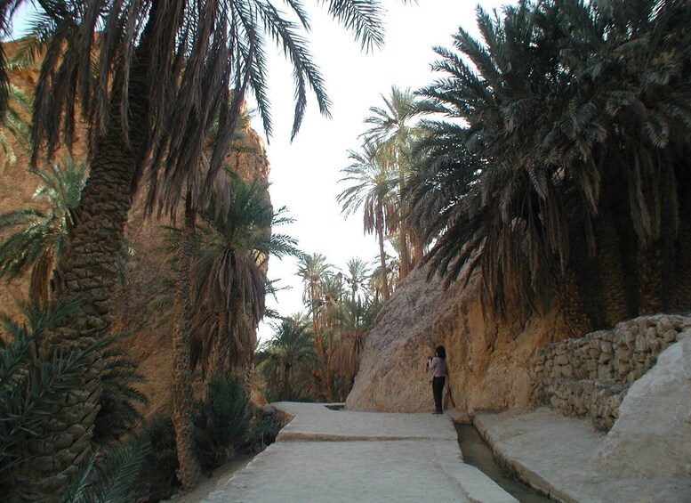 Picture 24 for Activity Tunis: 3-Day Sahara Desert Tour
