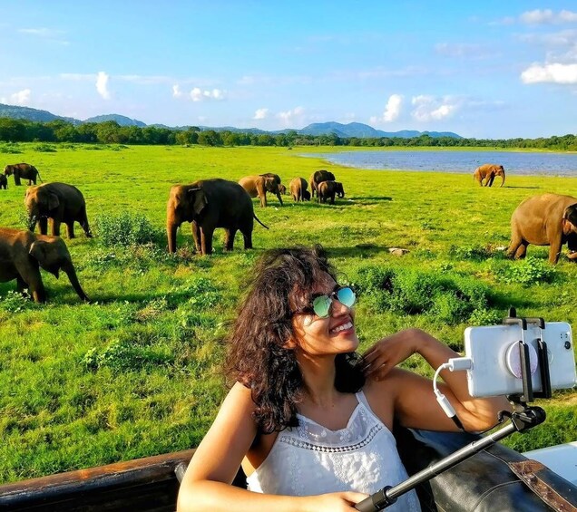 Picture 1 for Activity From Colombo: Private Minneriya National Park Day Safari