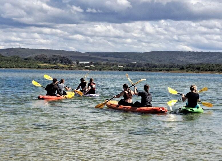 Picture 5 for Activity Kayaking Jeffreys Bay