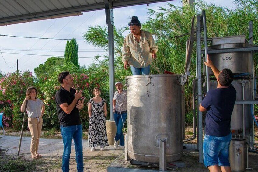 Discover all the steam extraction process