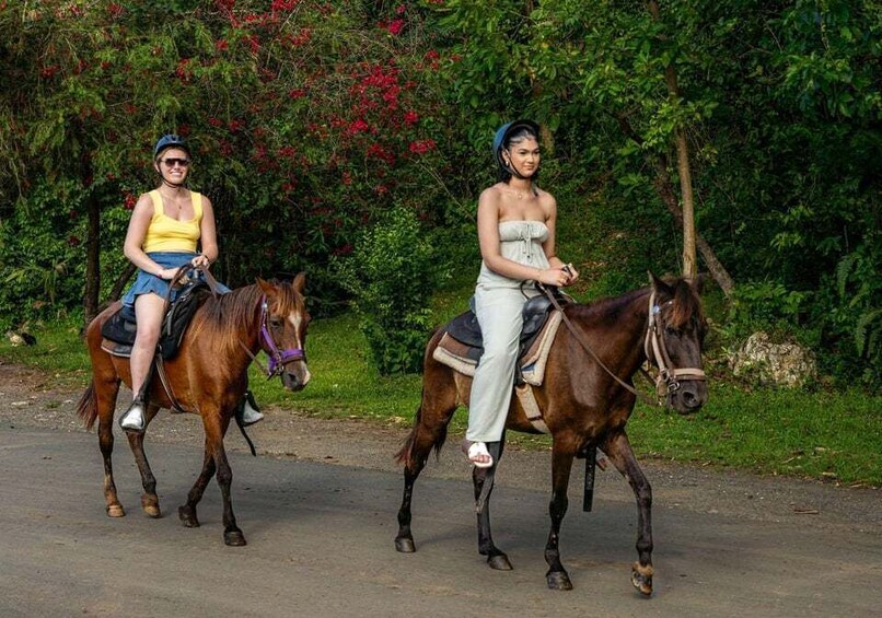 Picture 1 for Activity From Carolina: Horse Riding at a Private Ranch