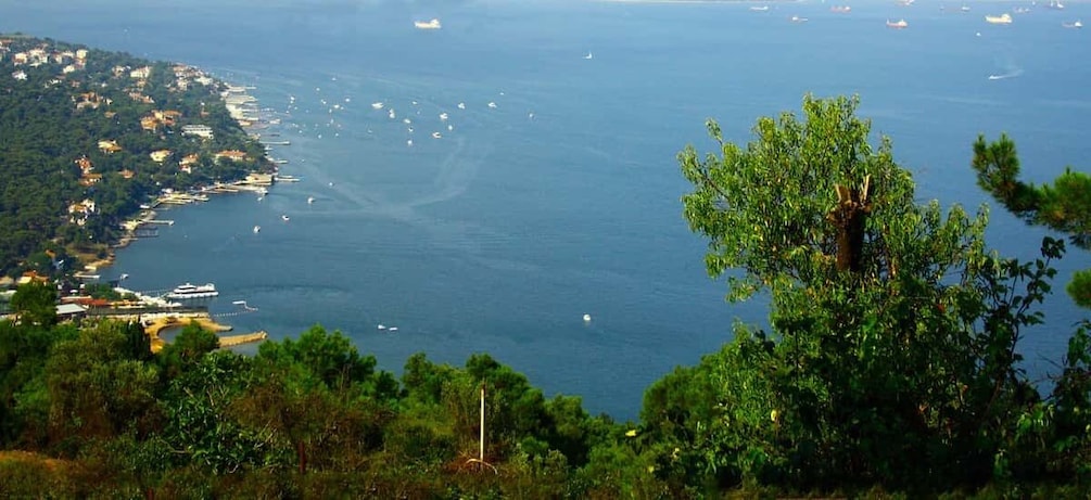 Picture 2 for Activity Istanbul: Day Trip to the Princes' Islands