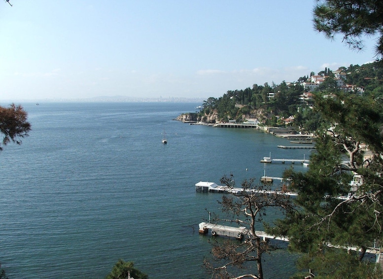 Picture 1 for Activity Istanbul: Day Trip to the Princes' Islands