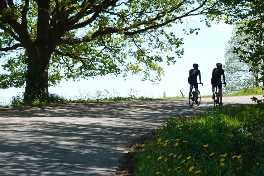Picture 4 for Activity From Brussels to Flanders 100km road cycling tour