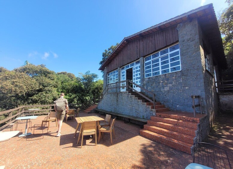 Picture 10 for Activity São Paulo: Cantareira Natural Park Guided Rainforest Hike