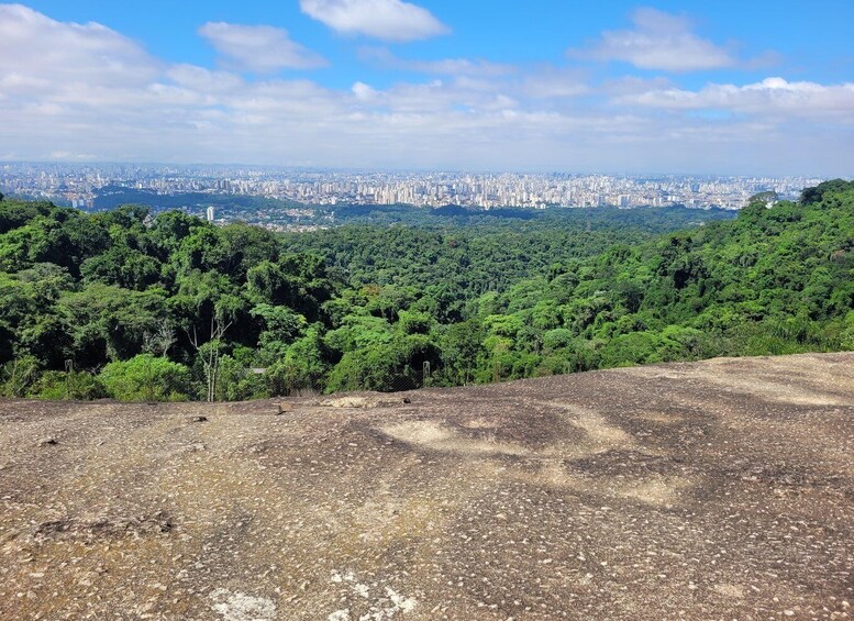 Picture 12 for Activity São Paulo: Cantareira Natural Park Guided Rainforest Hike