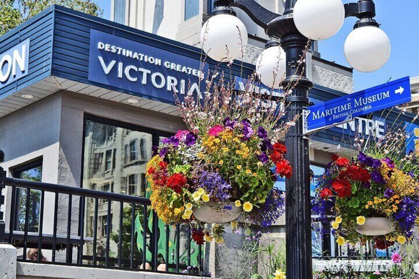 Hanging Baskets