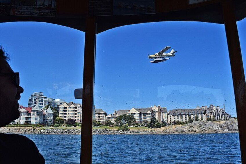 Harbour Air