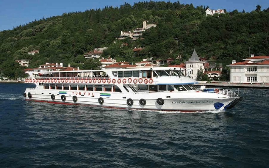 Picture 5 for Activity Istanbul: Bosphorus Sightseeing Cruise with Sunset Option