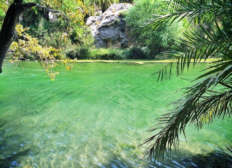 Picture 5 for Activity From Rethymno/Chania: Day Trip to Preveli Palm Beach