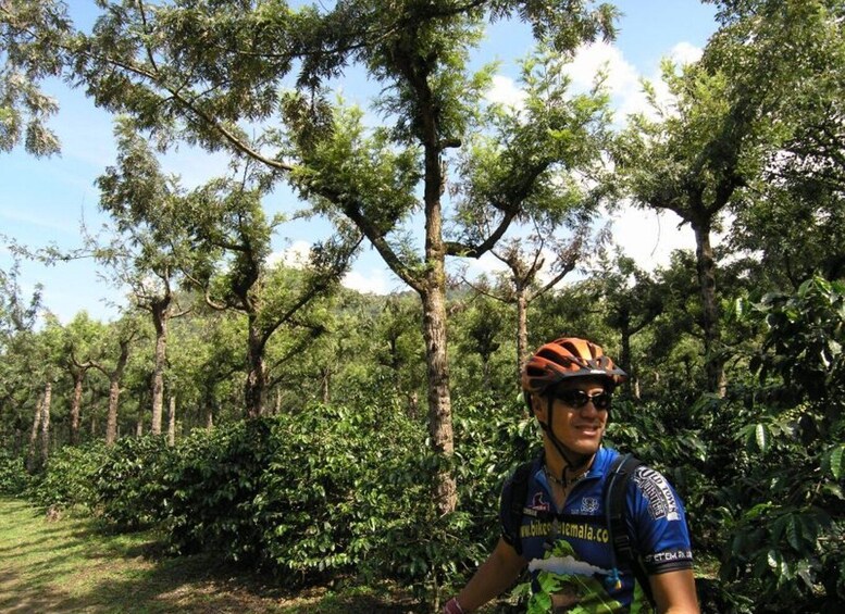 Picture 6 for Activity Antigua Sip 'n Cycle Half-Day Bike Ride and Coffee Tour