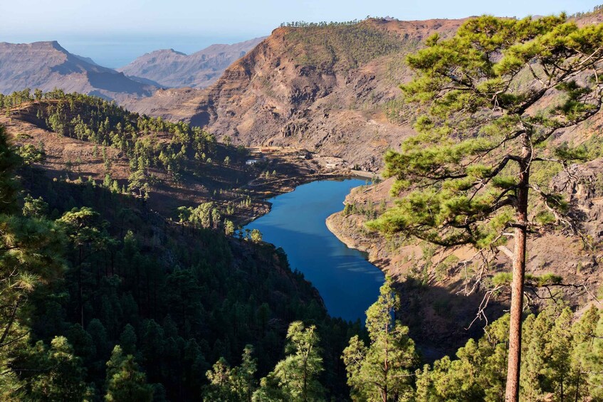 Picture 3 for Activity Gran Canaria: Island Highlights Tour with Optional Lunch