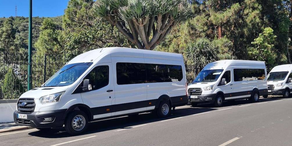Picture 8 for Activity Gran Canaria: Island Highlights Tour with Optional Lunch