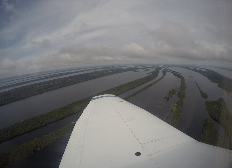 Picture 1 for Activity Manaus: Amazon Rainforest Panoramic Airplane Flight