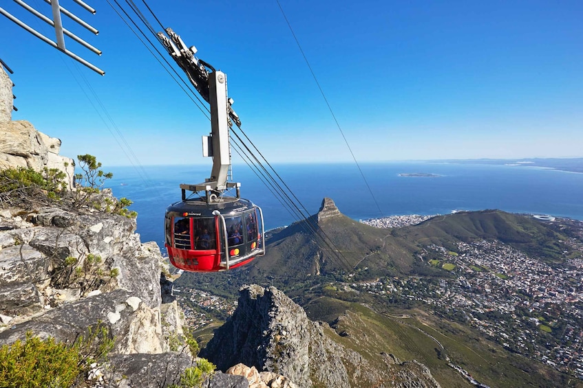 Cape Town: Half-Day City Tour