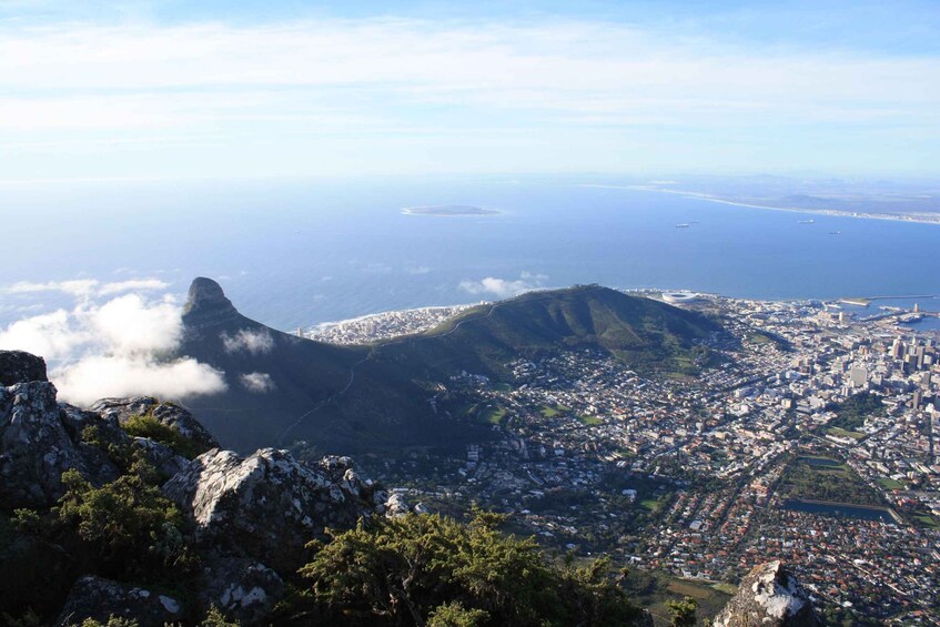 Picture 17 for Activity Cape Town: Half-Day City Tour