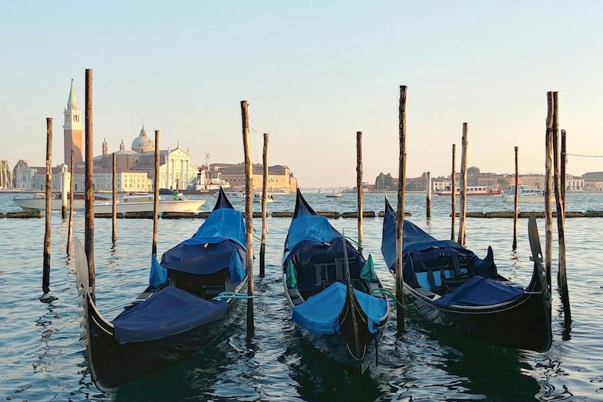 Classic Venice Tour