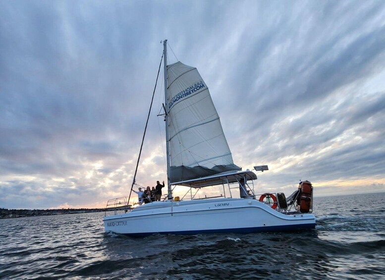 Picture 3 for Activity Monterey Bay: Sunset Catamaran Sailing Cruise