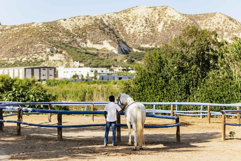 Picture 7 for Activity Heraklion: Finikia Horse Riding Tour with Lunch or Dinner