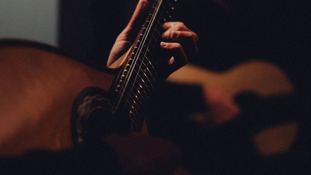 Fado Dinner Show & Night Tour