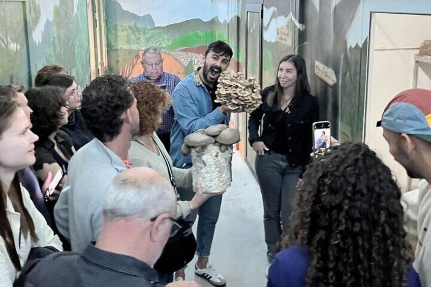 Guided Visit and Tasting in Mushroom Farming