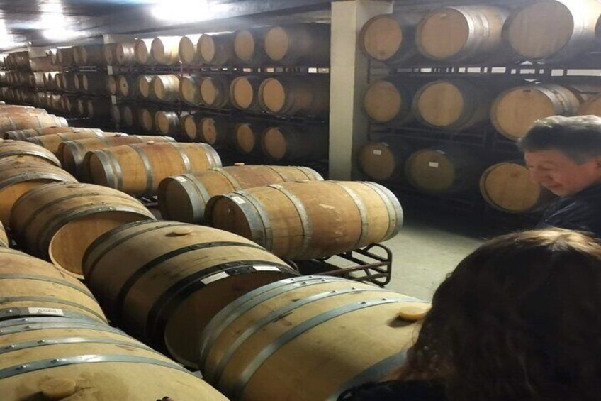 Half Day Private Wine and Traditional Tile Making Tour