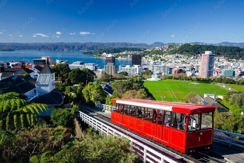 emerging at the top of the cable car...