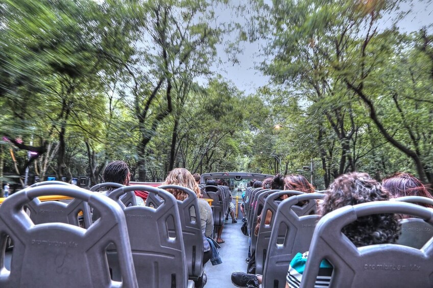 Visit Six Flags and Enjoy a Hop-on Hop-off Panoramic Tour of Mexico City