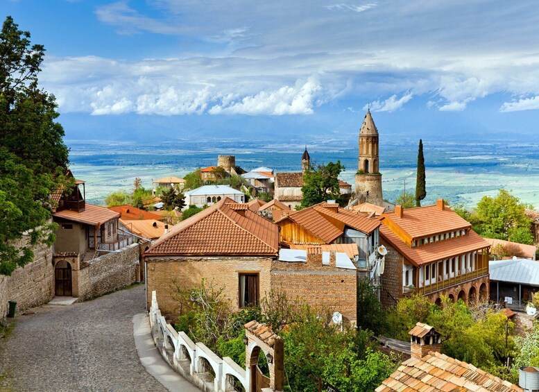 Picture 13 for Activity From Tbilisi: Kakheti Wine Region, Including 7 Wine Tastings