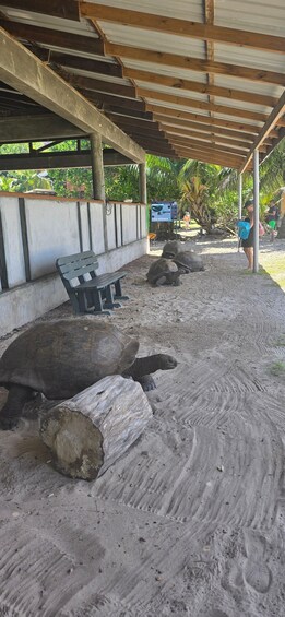 Picture 67 for Activity Praslin: Curieuse & St. Pierre Boat Day Trip with BBQ