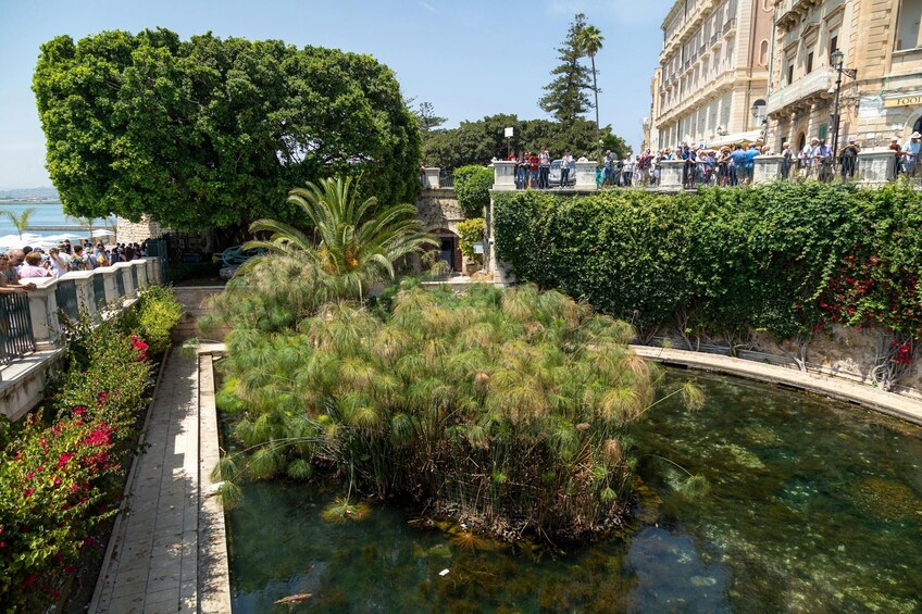 Syracusa Heritage Tour