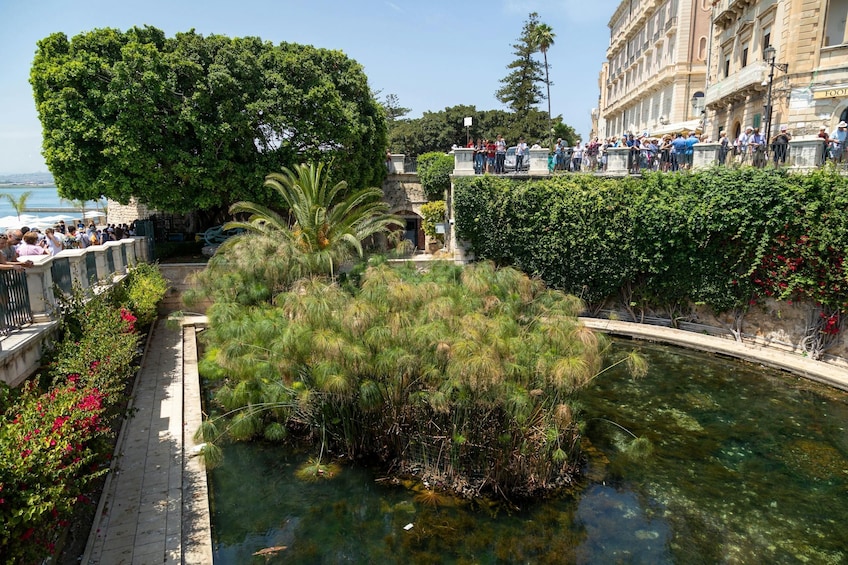Syracusa Heritage Tour