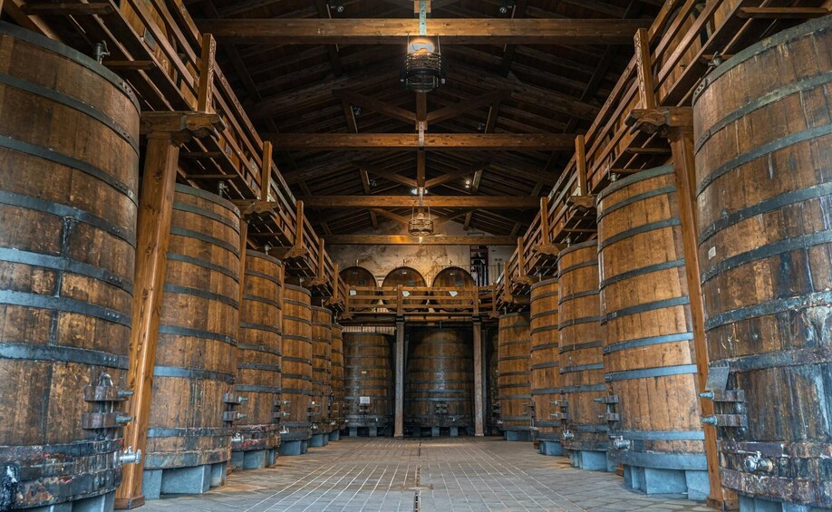 Etna North 4 X 4 & Wine Tasting