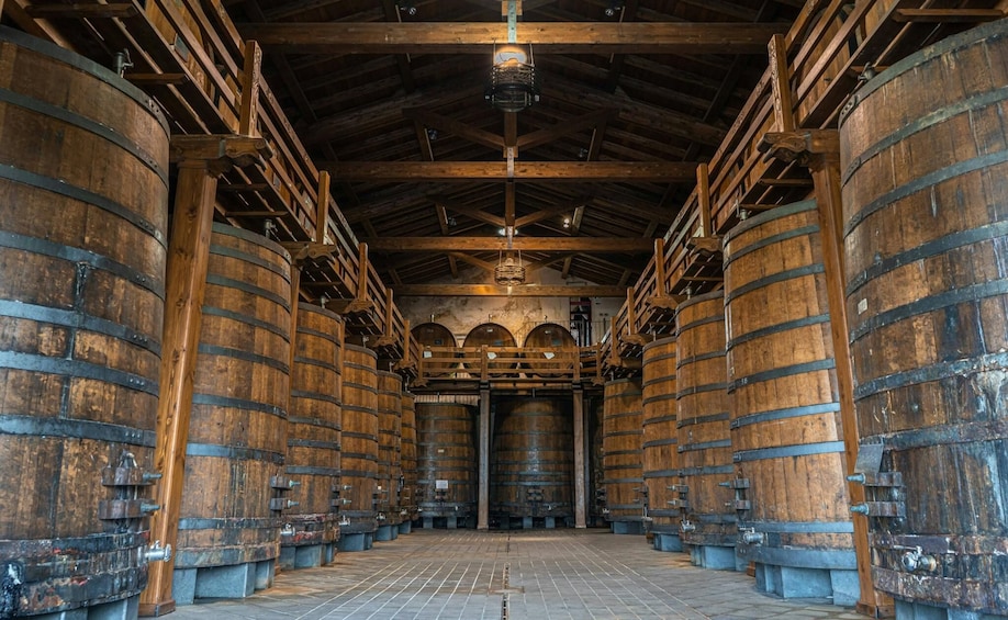 Etna North 4 X 4 & Wine Tasting
