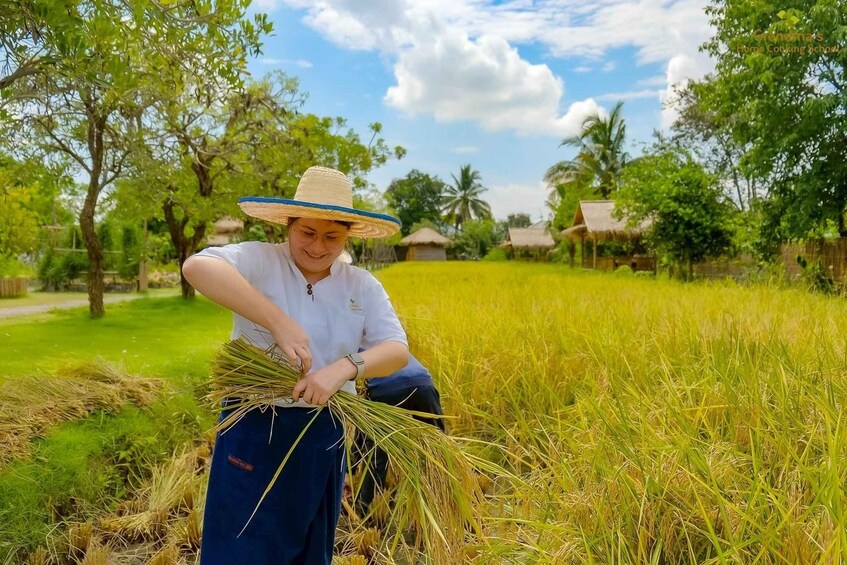 Picture 61 for Activity Chiang Mai: Authentic Thai Cooking Class and Farm Visit