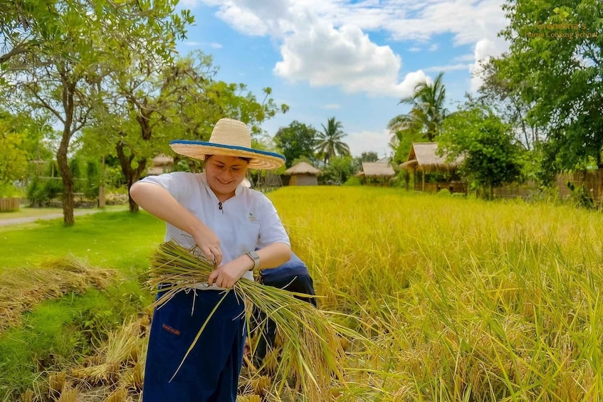 Picture 61 for Activity Chiang Mai: Authentic Thai Cooking Class and Farm Visit