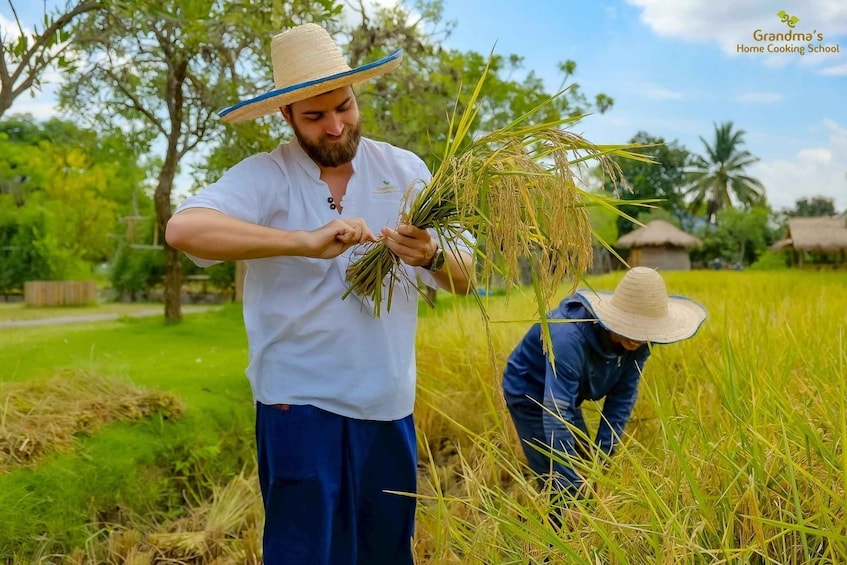 Picture 8 for Activity Chiang Mai: Authentic Thai Cooking Class and Farm Visit