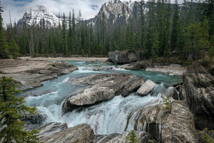 Full Day Tour in Moraine Lake, Lake Louise & Yoho N.P.