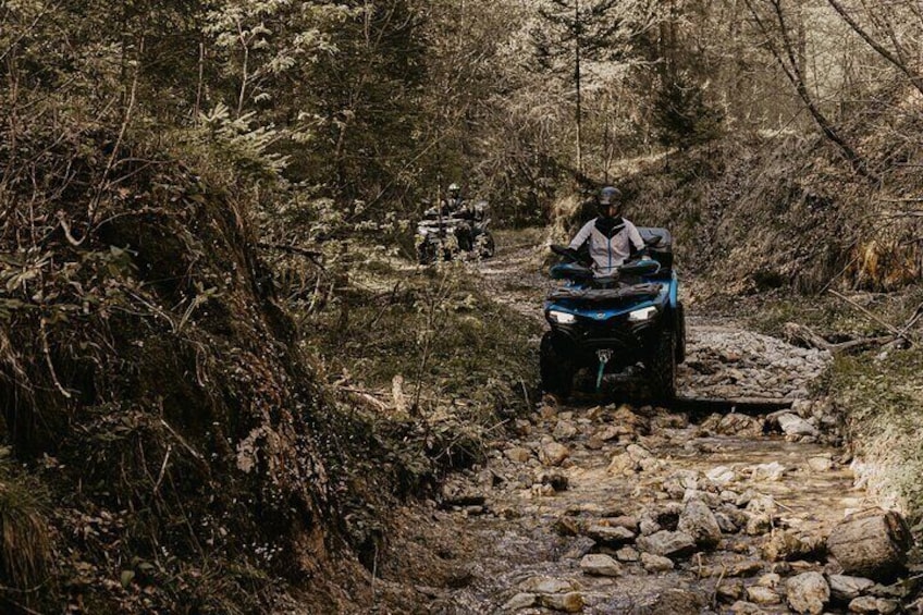 Offroad challenge!