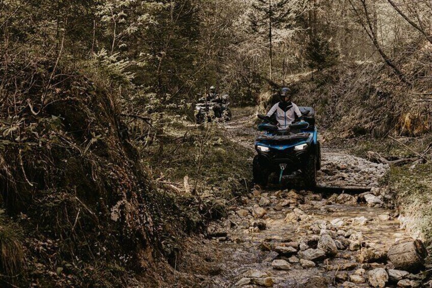 Offroad challenge!
