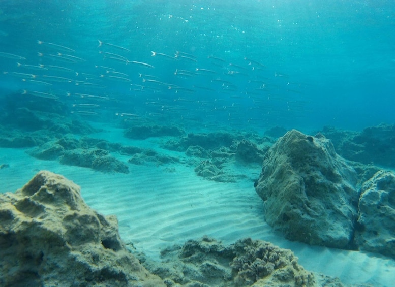 Picture 41 for Activity From Chania: Scuba Diving for Beginners