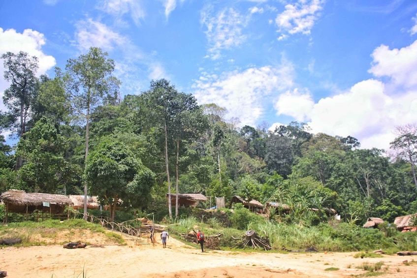 Picture 11 for Activity From Kuala Lumpur: Taman Negara National Park Day Tour