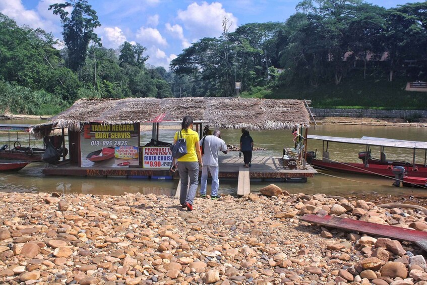 Picture 10 for Activity From Kuala Lumpur: Taman Negara National Park Day Tour