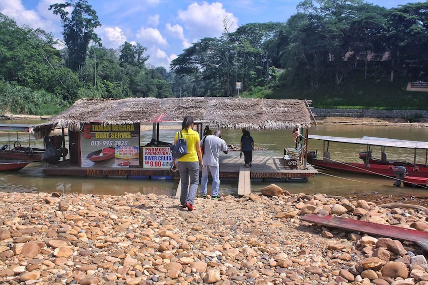 Picture 10 for Activity From Kuala Lumpur: Taman Negara National Park Day Tour