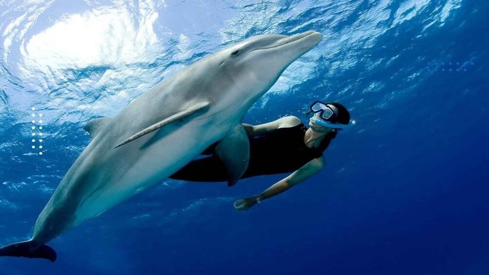 Picture 41 for Activity Hurghada: Royal Orange Bay w/ Massage, Water Sports & Lunch