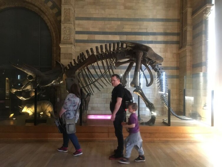 London: Natural History Museum Entry Ticket and Guided Tour