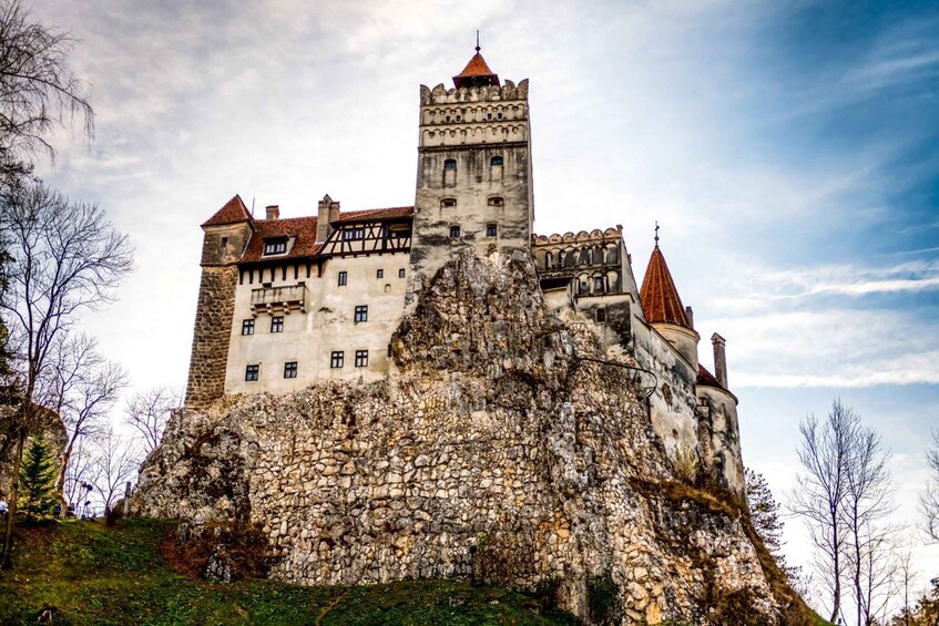 Picture 9 for Activity Legends&Wildlife Awaits: Dracula's Castle & Bear Sanctuary