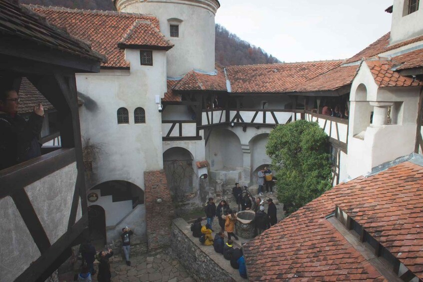 Picture 16 for Activity Legends&Wildlife Awaits: Dracula's Castle & Bear Sanctuary